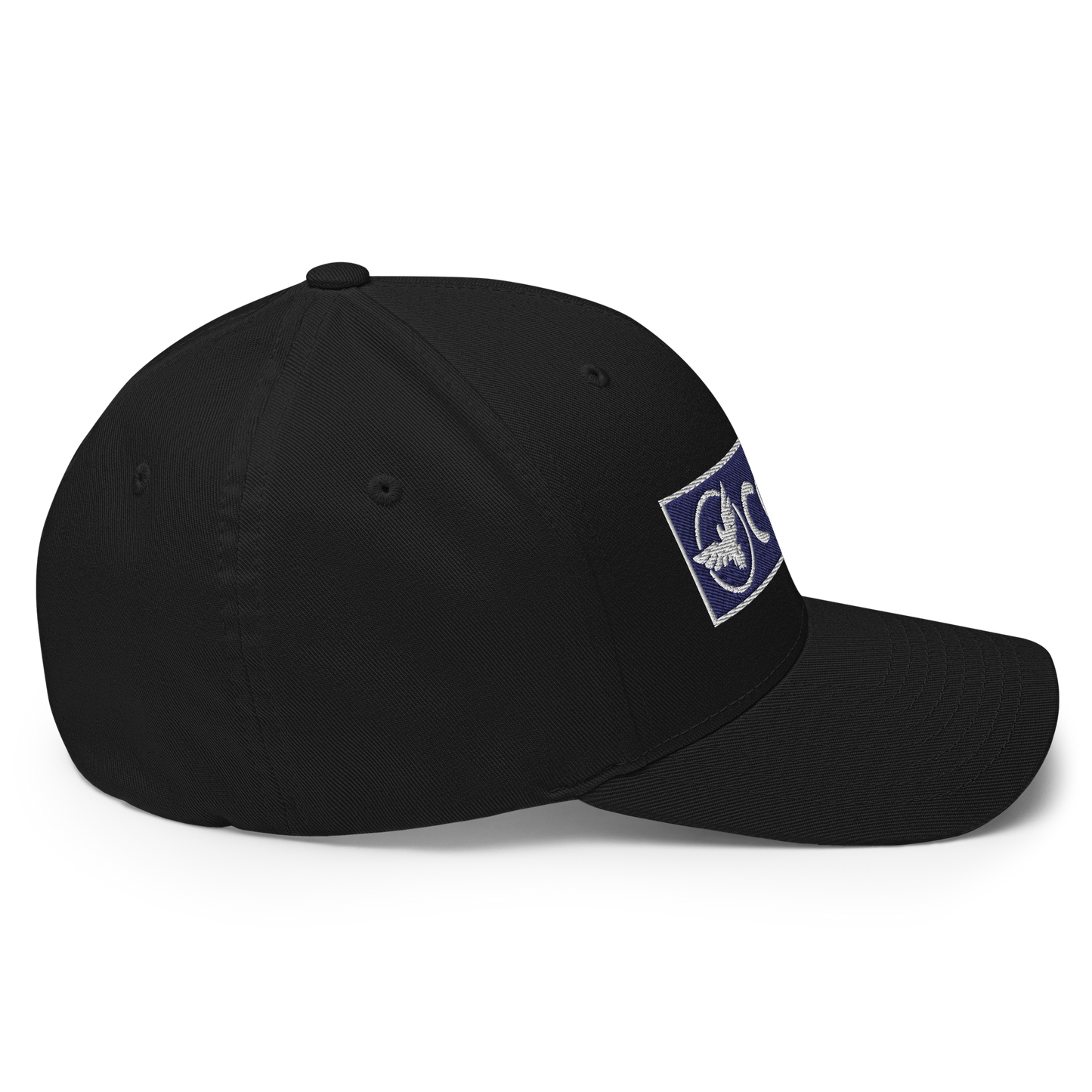 FYC Logo Structured Stretch Sport Twill Cap (10 Colors)